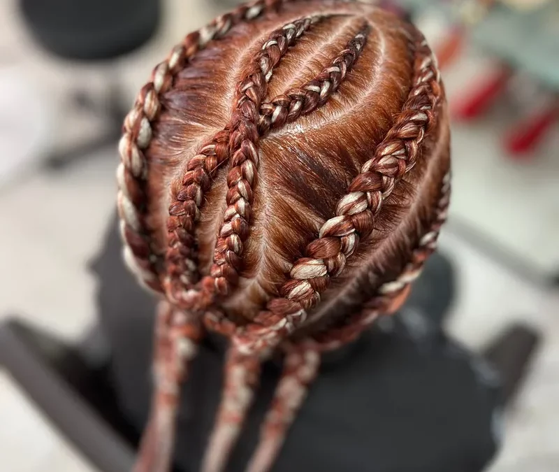 tresses-a-villers-cotterets-02600-salon-coiffure-afro-braids-dessin-twist-natte-collee-800x675