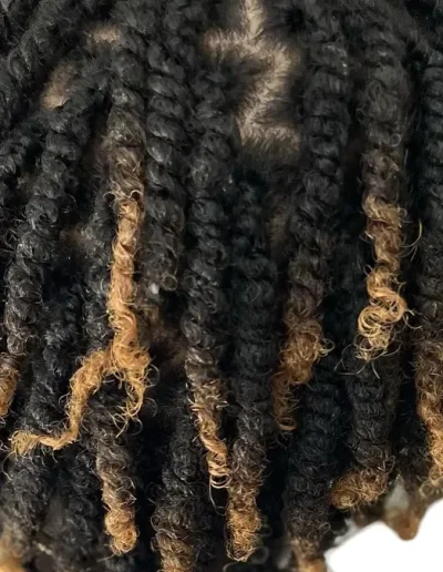 tresses-a-villers-cotterets-02600-salon-coiffure-afro-braids-locks-1-800x675