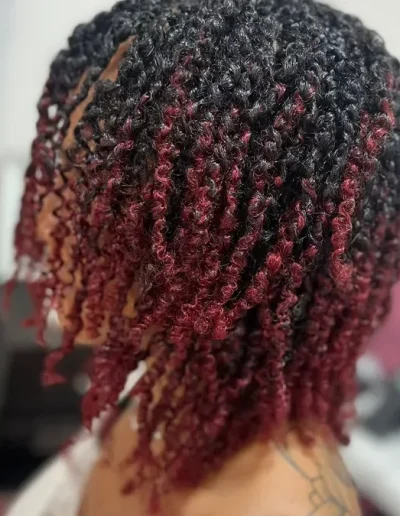 tresses-a-villers-cotterets-02600-salon-coiffure-afro-locks-800x675