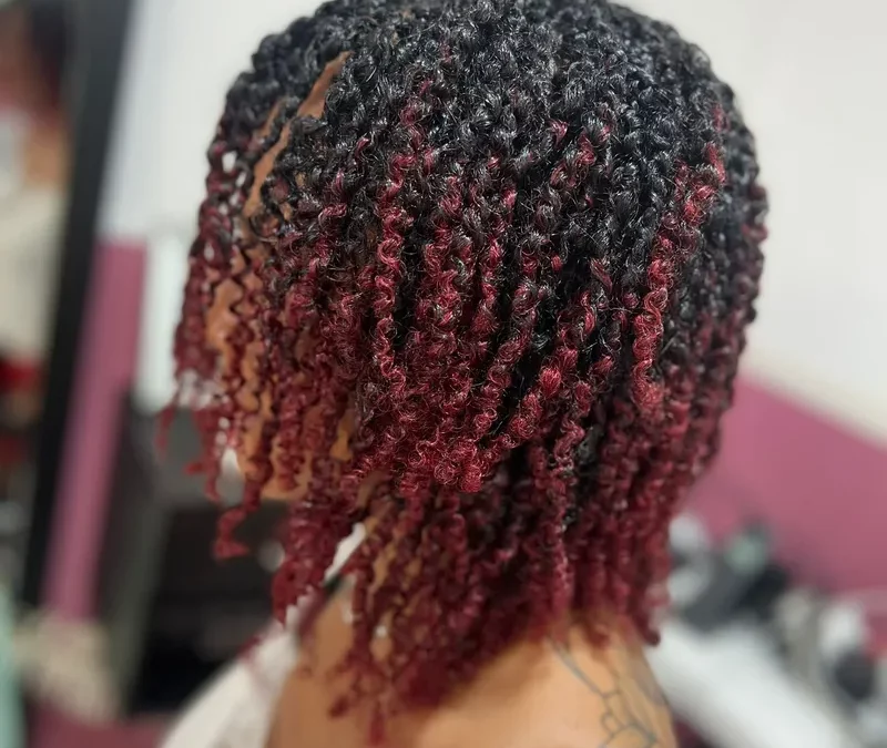 tresses-a-villers-cotterets-02600-salon-coiffure-afro-locks-800x675