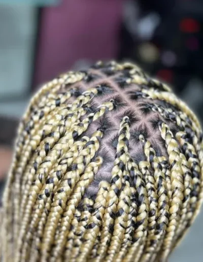 tresses-a-villers-cotterets-02600-salon-coiffure-braids-nattes-rajout-blond-1-800x675